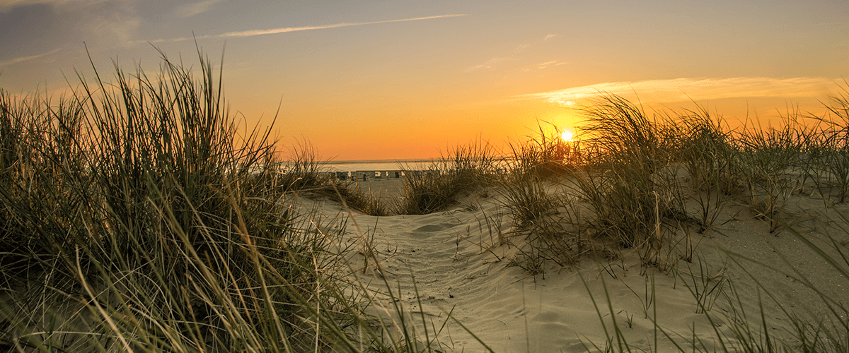 Blick durch Düne mit Dünengras auf den Norddeicher Strand