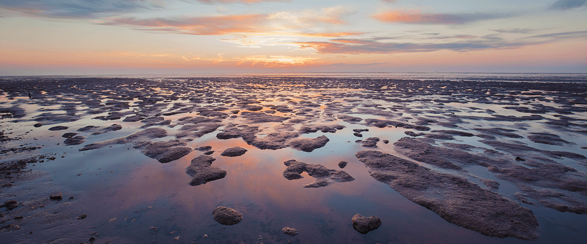 Das Wattenmeer bei Ebbe
