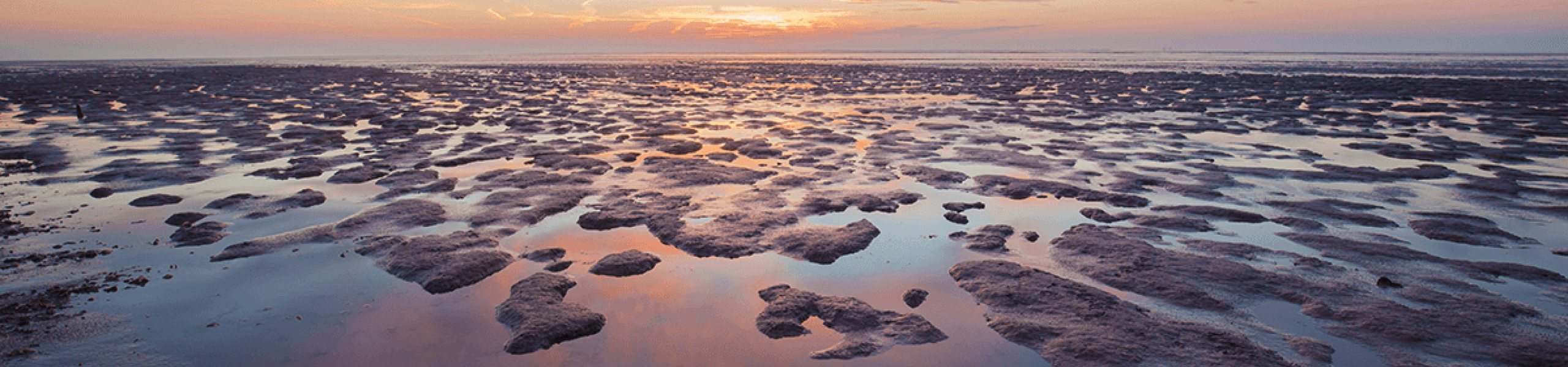 Das Wattenmeer bei Ebbe