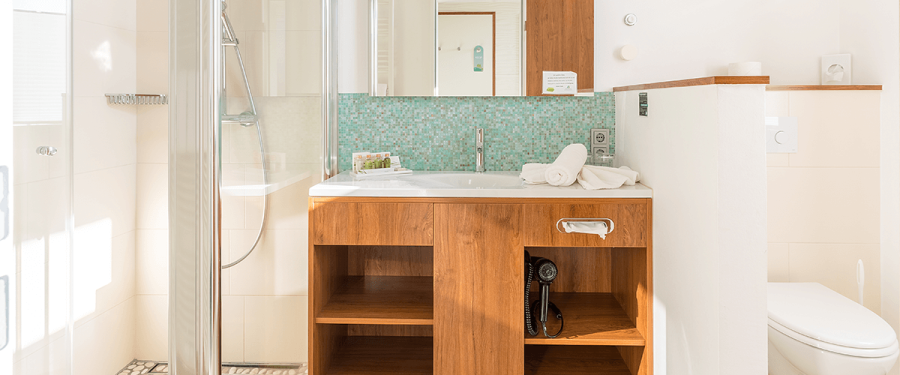Blick ins Bad auf Dusche, Waschbecken und Toilette