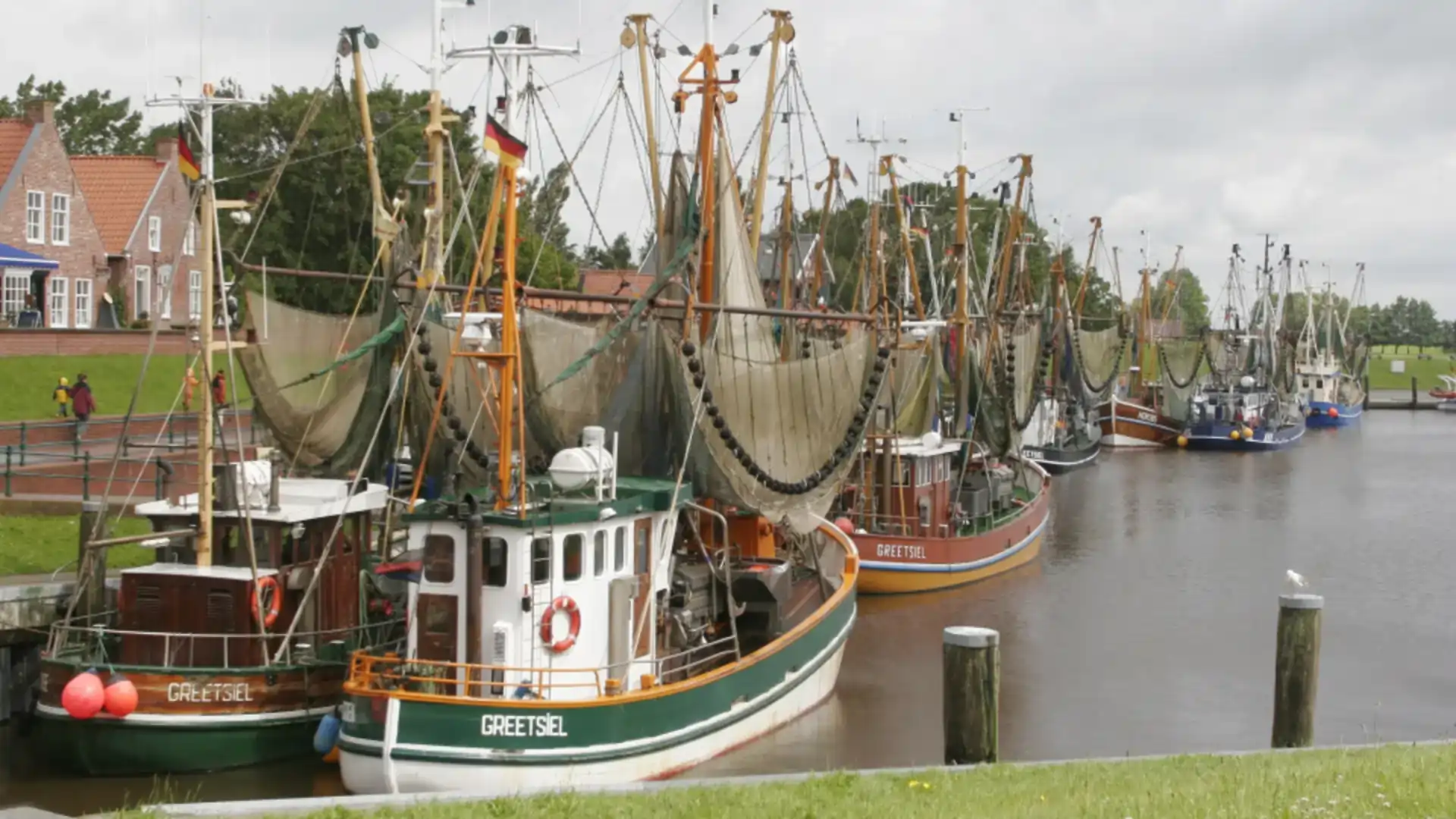 Harbour with fishing boats