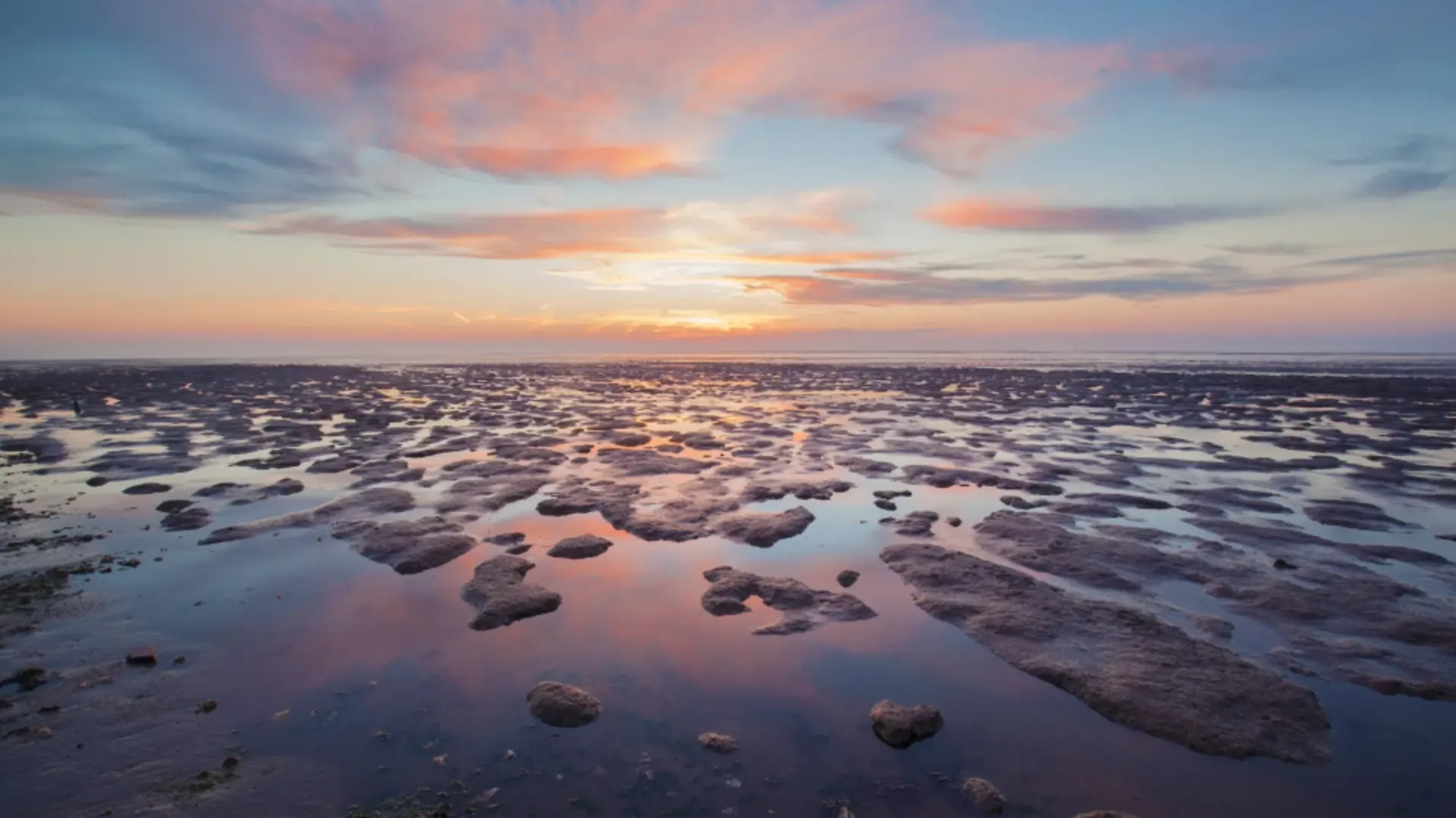 Das Wattenmeer bei Ebbe