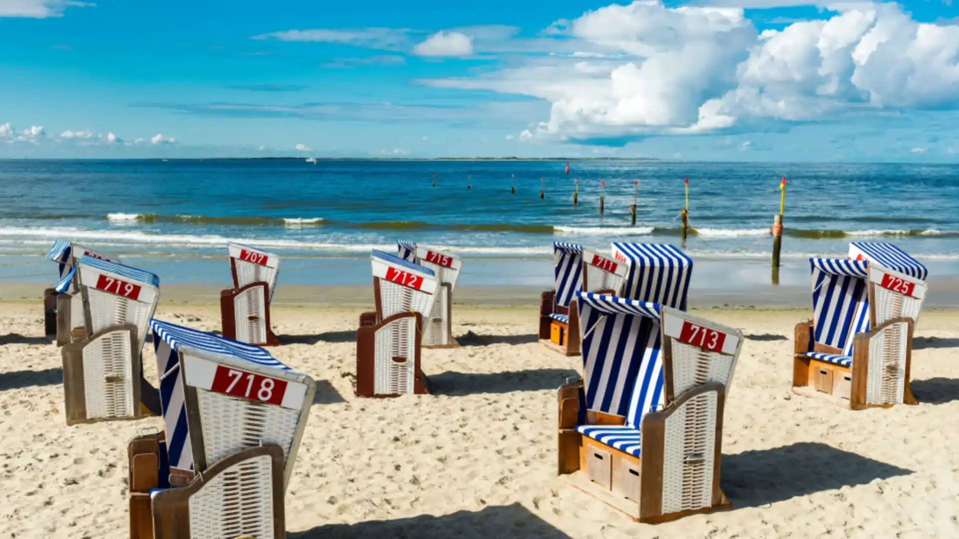 Several beach chairs on the beach