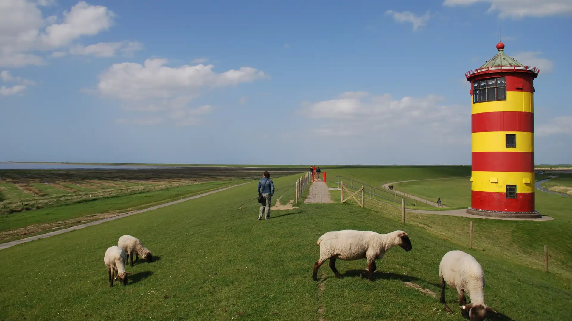 Blick über den Deich mit Schafen und dem Pilsumer Leuchtturm