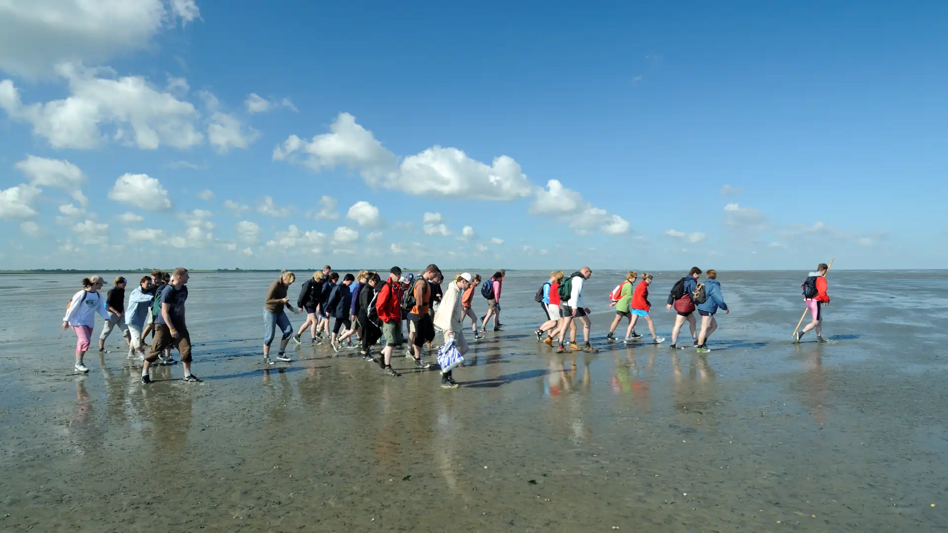 Gruppe von Menschen bei einer geführten Wattwanderung